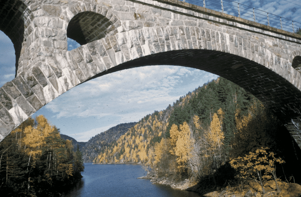 discover more bg